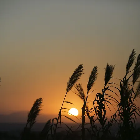 公寓式酒店 希尔赛德公寓 3*