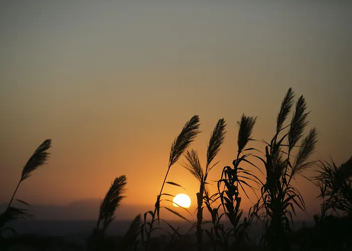 Апарт-отель Hillside & 3*