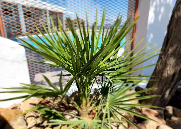 Hillside & Фалираки